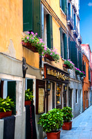 Street of Flowers - Venice, Italy