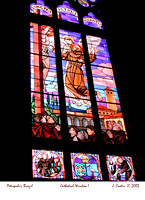 Cathedral of St. Peter of Alcantra in Petropolis, Brazil window I