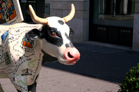 Geneva Cow I